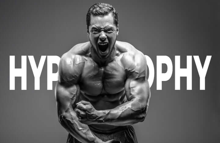 Understanding Muscle Hypertrophy – GymPin