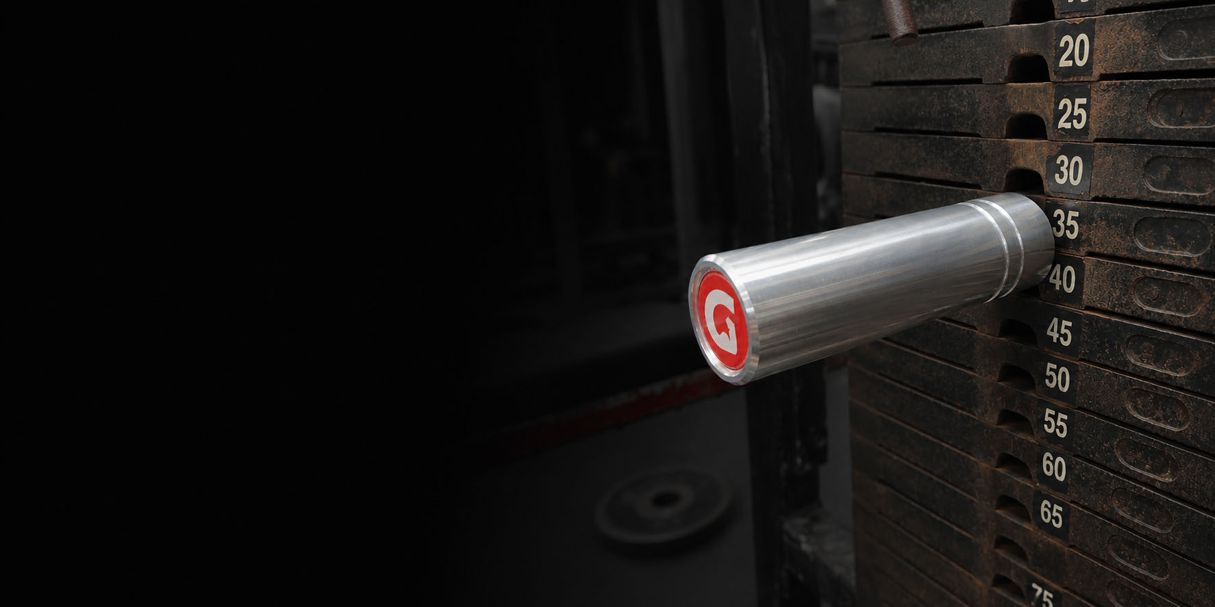 Muscle Growth Doesn’t Require Heavy Weights