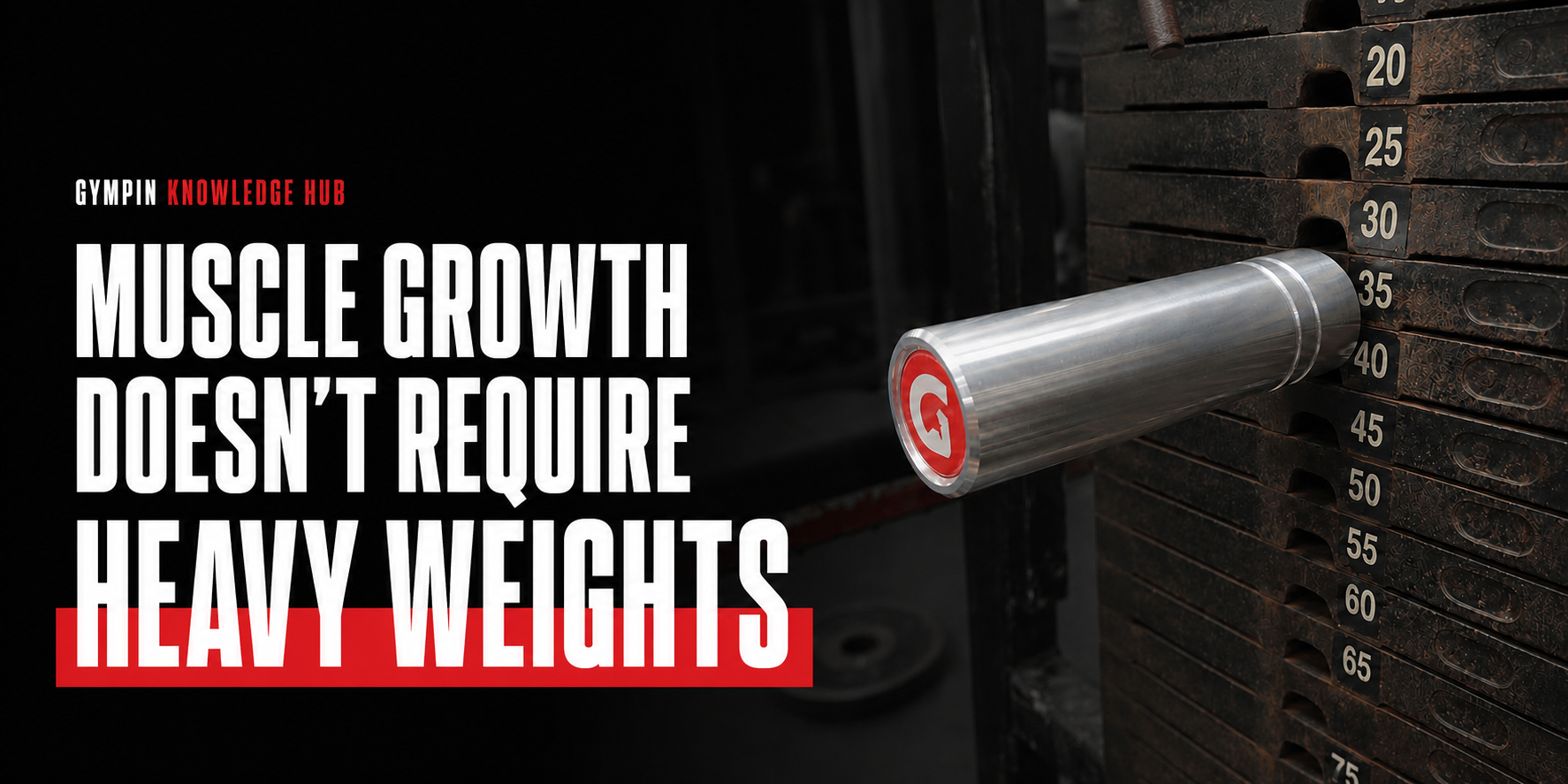 Muscle Growth Doesn’t Require Heavy Weights