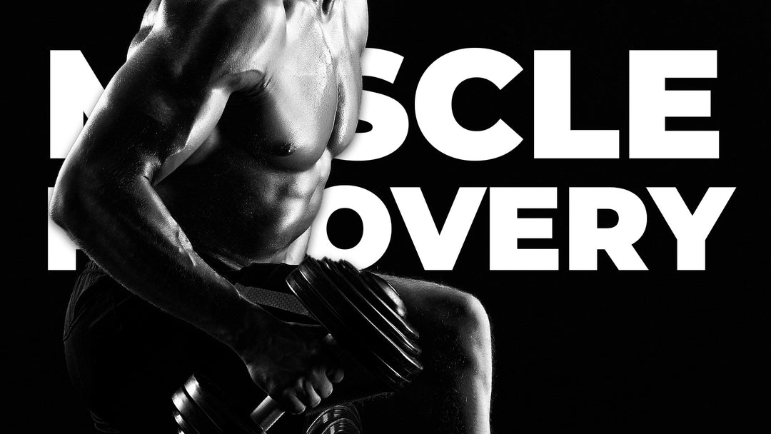 The Science of Muscle Recovery