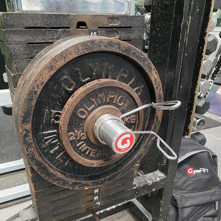Gym Pin Spring Bench The Original 2
