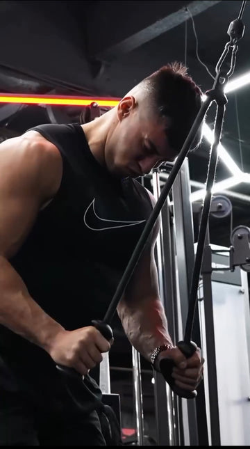 GymPin Long Ropes | Tricep ERGO Handles