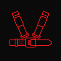 OPTIONAL STRAPS + BELT