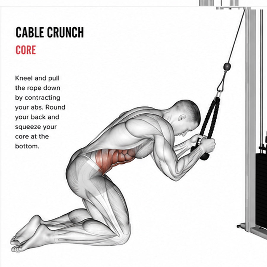 One cable. More ways to train.