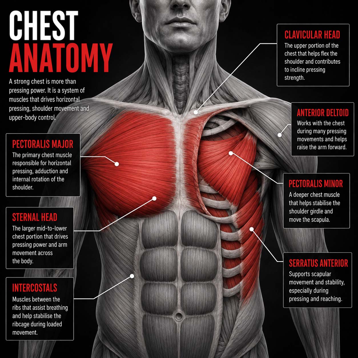 Build a Bigger Chest