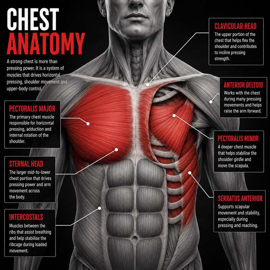 Build a Bigger Chest