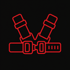 Optional Straps + GymPin Seat Belt