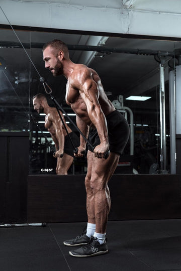 GymPin Long Ropes | Tricep ERGO Handles